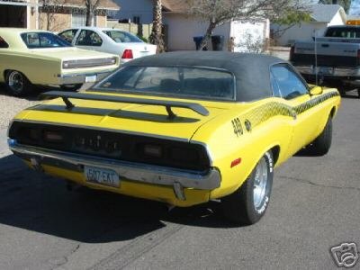 72 curious yellow rear.JPG